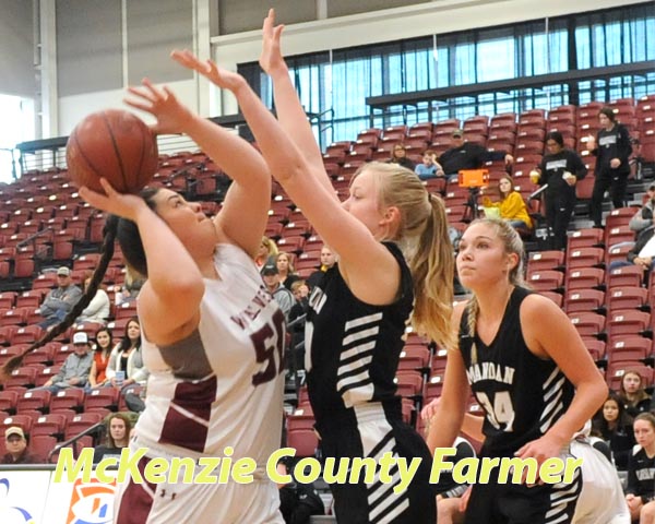 Wolves fall to Mandan, Minot in girls cage play