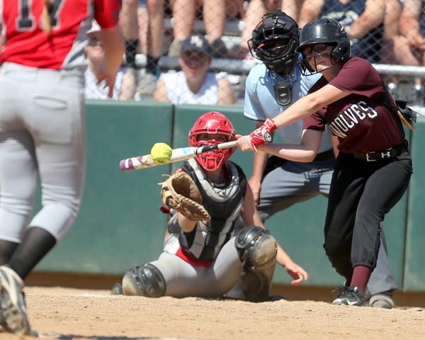 Wolves take fourth place at State Softball