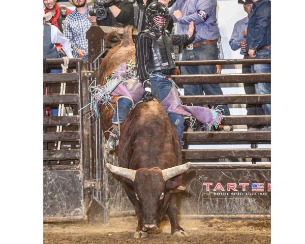 Wright claims bull riding championship at NDRA Finals