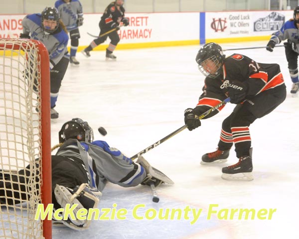 Oiler girls take 8th at 19u state hockey