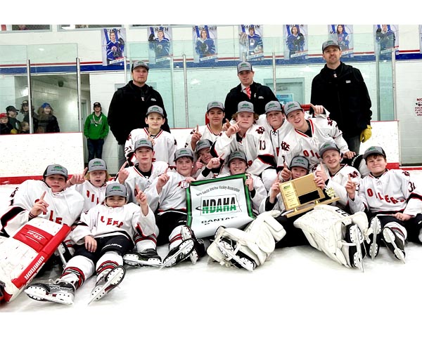 Bantams claim the state hockey crown