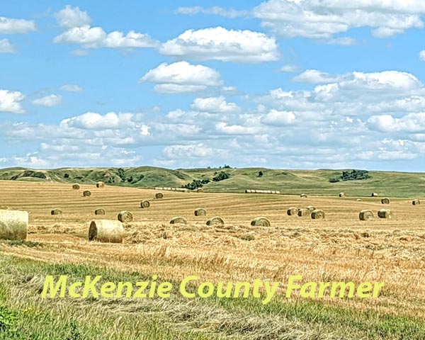 Hay in McKenzie County will be plentiful this year