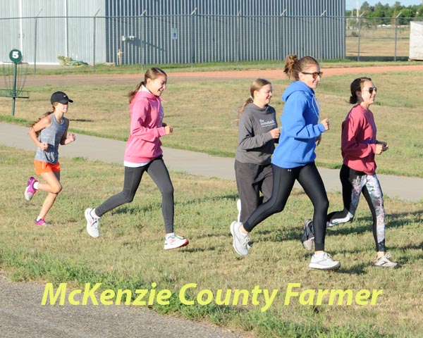 Cross country teams open season at Williston