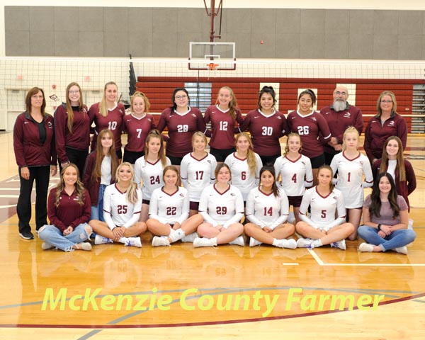 Spikers fall to Dickinson, St. Mary’s