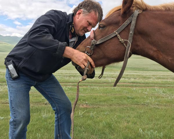 Race becomes veterinarian’s experience of a lifetime