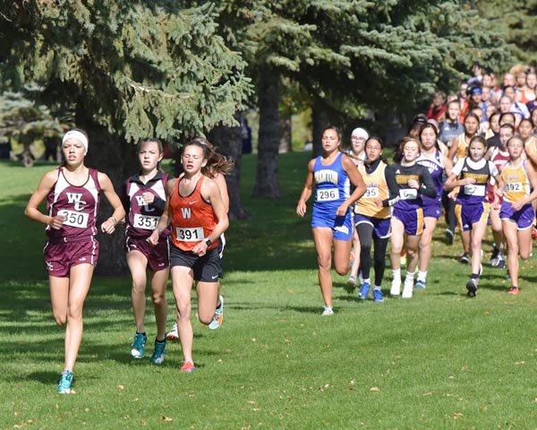 Cross country teams head to West Region meet