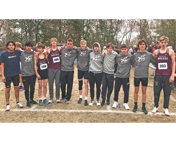 Cross country finishes season in the top 20 at State Meet