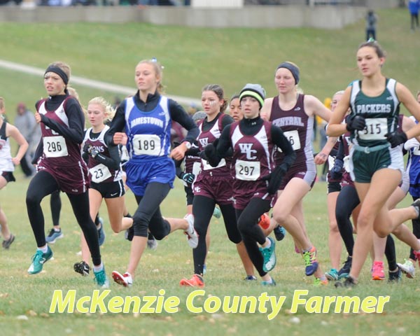 Ogle girls lead Wolves to 7th place finish at State