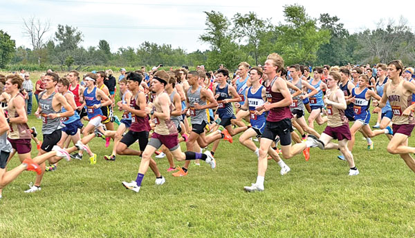 Wolves Cross Country teams see success in first race