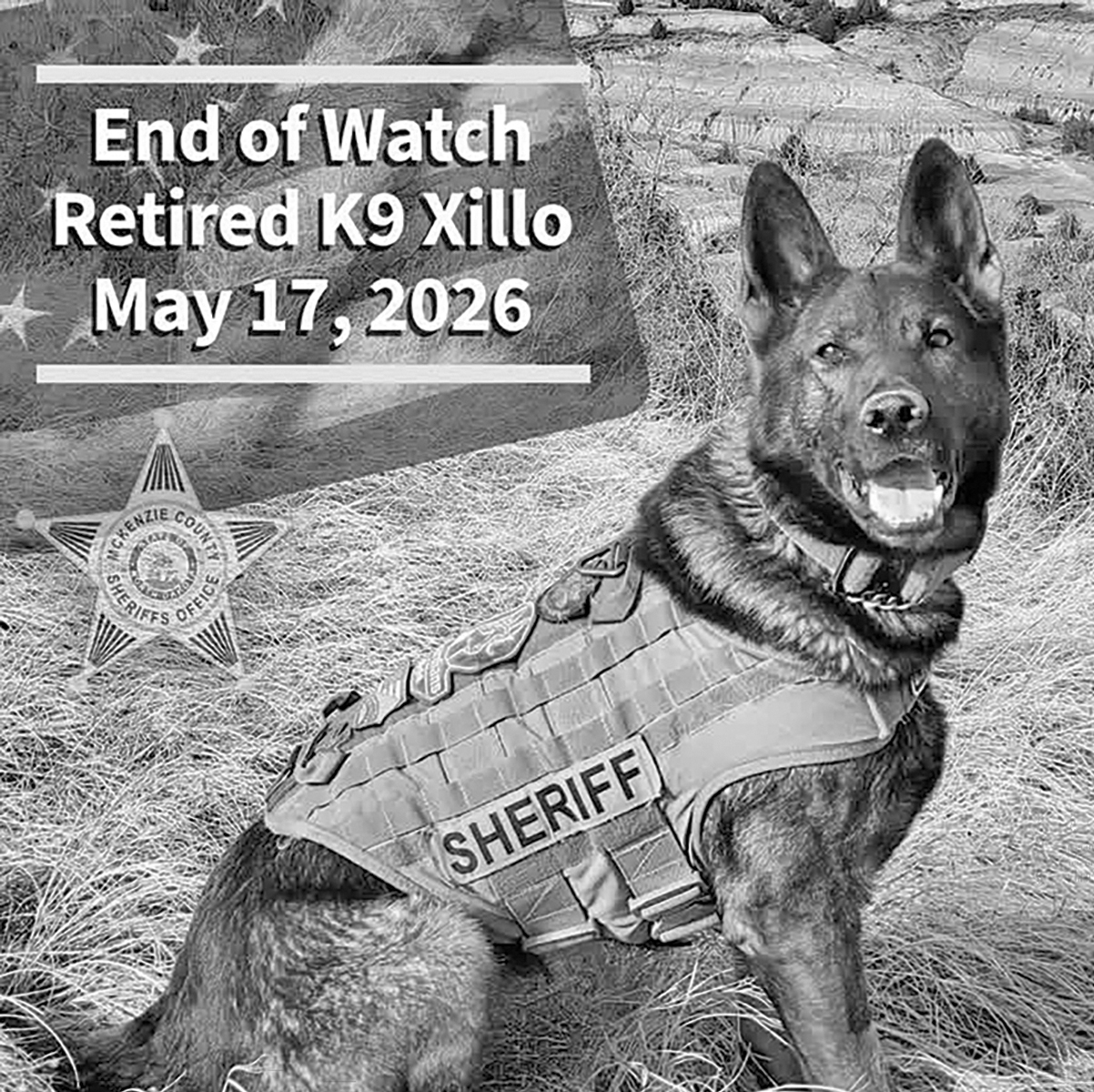 McKenzie County Sheriff&rsquo;s Office Mourns Loss of Retired K9 Xillo