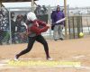 Wolves go 2-3 in softball action