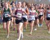 Ogle takes second at State Cross Country