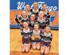 WCHS CHEER TEAM’S COMPETE AT STATE