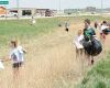 Join the spring sweep: “Pick Up the Patch” returns to beautify Watford City