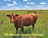 Area ranchers optimistic as summer grazing season begins